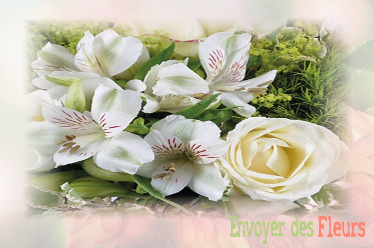 envoyer des fleurs à à VILLIERS-HERBISSE